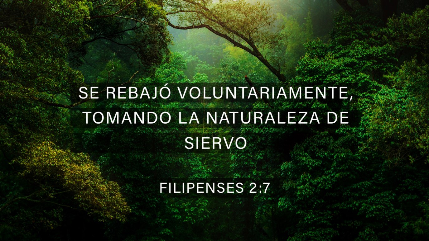 Versículo Del Día Filipenses 27 Idisciple